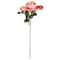 Coral English Rose Stem by Ashland®